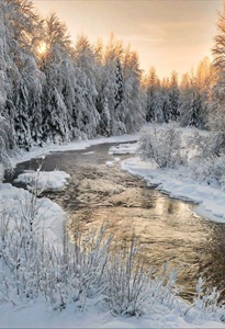 11 января - День заповедников и национальных парков России
